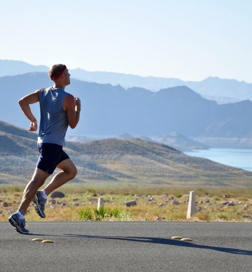 pexels-pixabay-235922